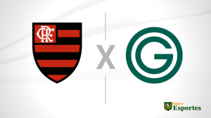 Flamengo x Goiás